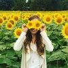 sunflowerpoppy